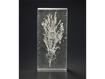 松坂屋名古屋店ART HUB NAGOYA｜カテゴリー一覧 | 松坂屋名古屋店