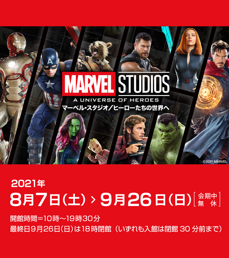 マーベル E-4273R スーパーカーボン100 MARVEL