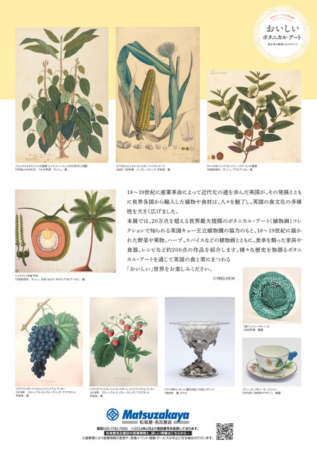 おいしいボタニカル・アート 食を彩る植物のものがたり｜松坂屋美術館