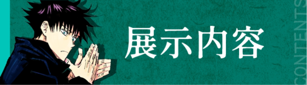 展示内容