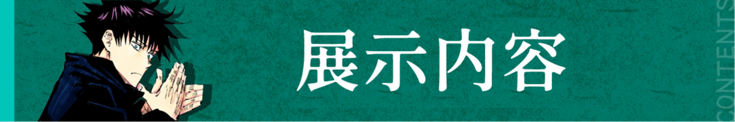 展示内容