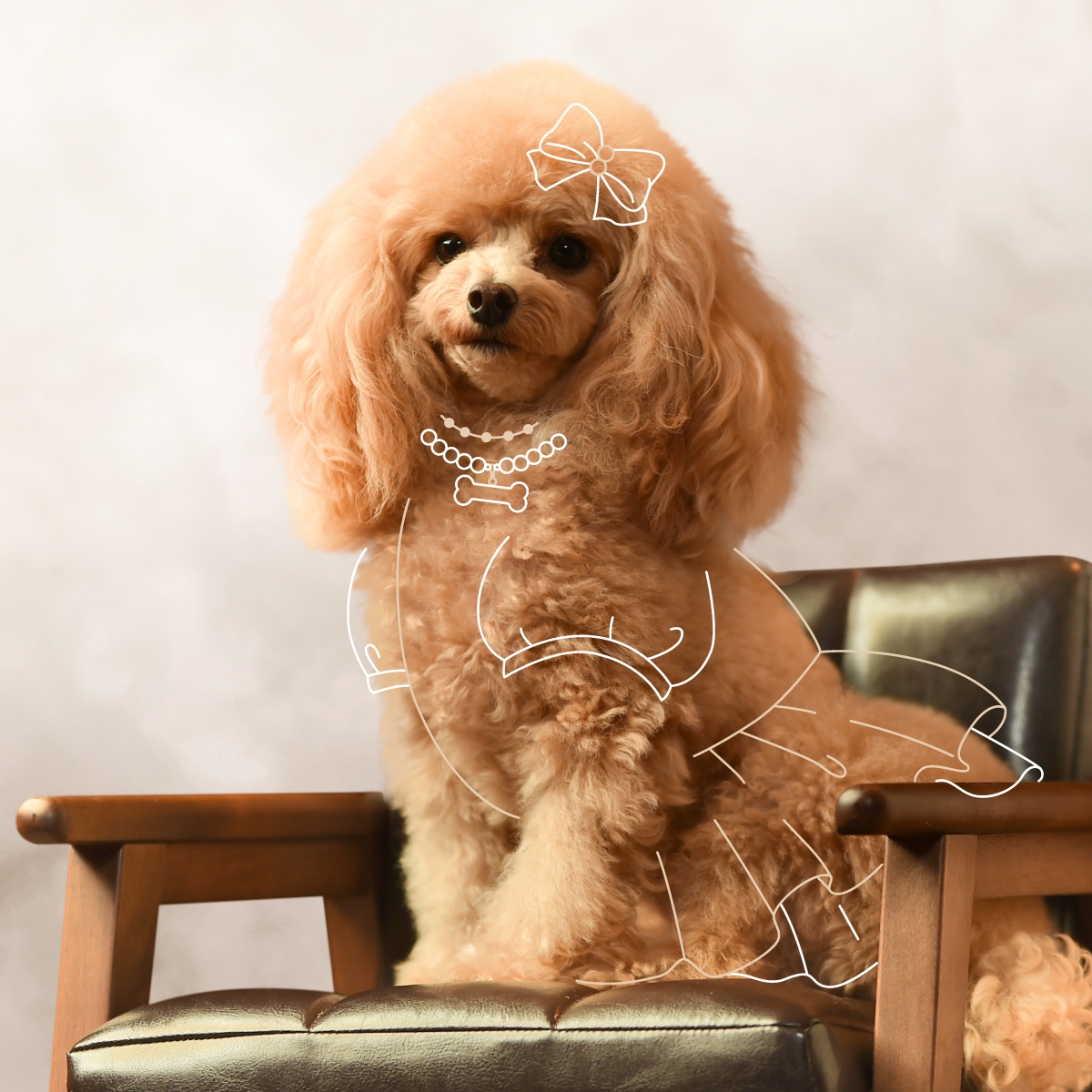 THE LUXURY TIME WITH DOG