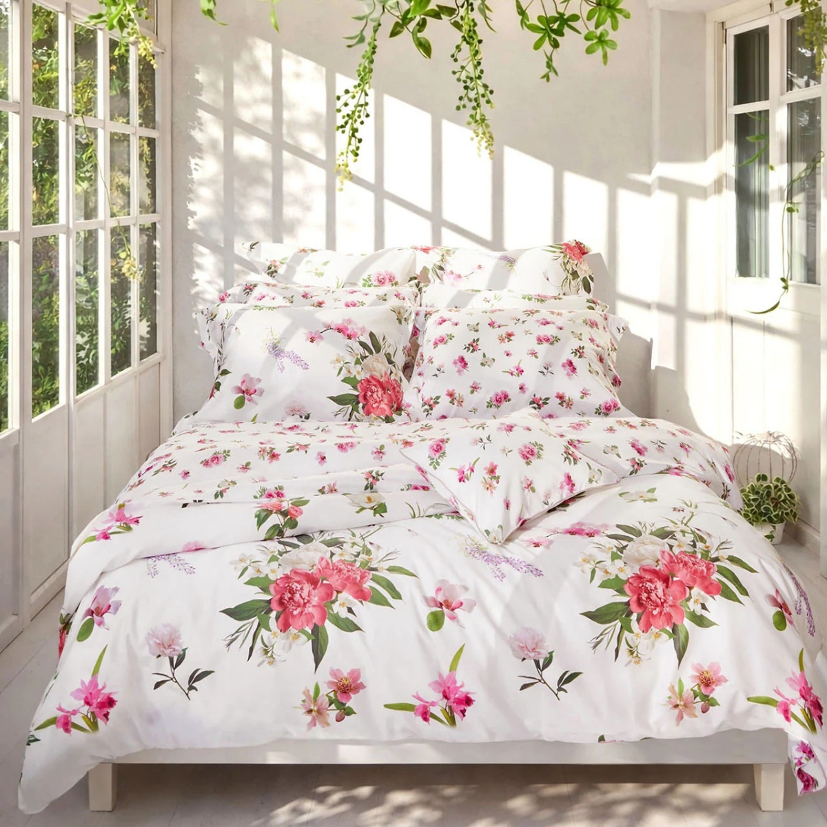 〈SIGNORIA(シニョーリア)〉Vivace Collection