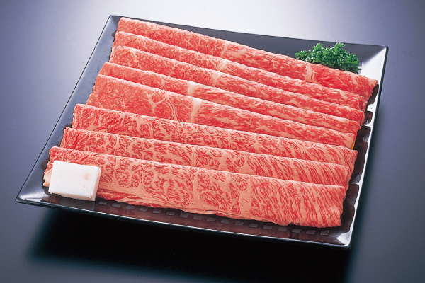 20250219_seisen_sugimoto