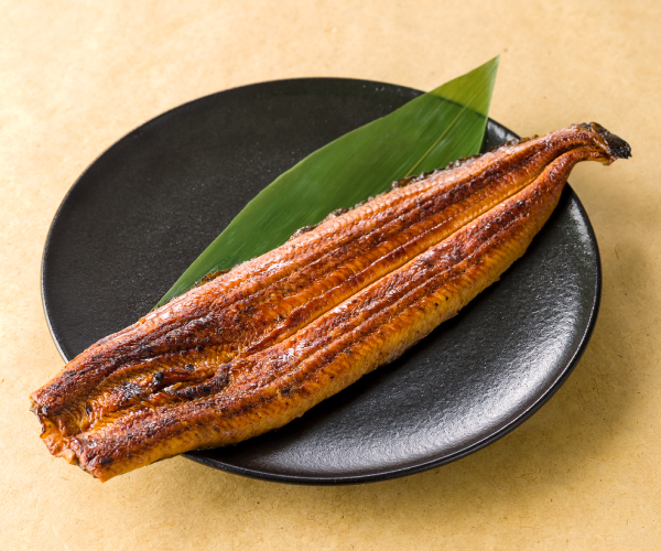 uojyo_tsuyaunagi