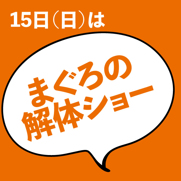 2506kyou15-2
