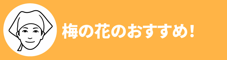 2608梅の花おすすめ