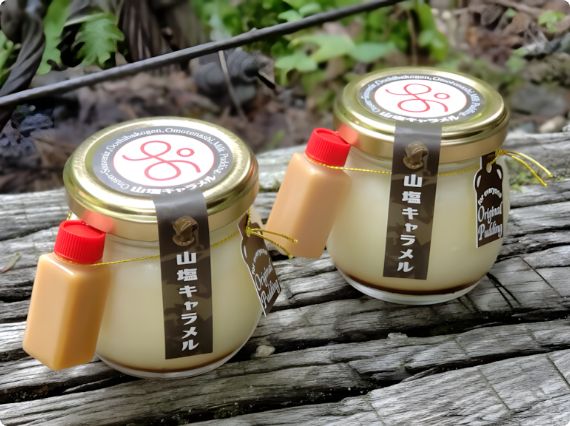 道の駅大芝高原「大芝高原のおもてなしプリン 山塩キャラメル 」