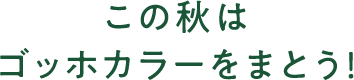 秋のトレンドゴッホカラーファッション