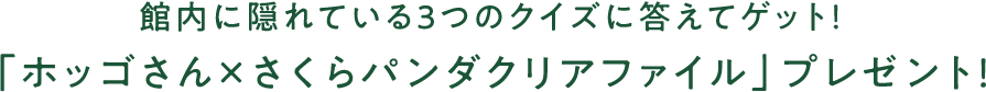 館内に隠れている3つのクイズに答えてゲット！「さくらパンダ×ホッゴさん」プレゼント！