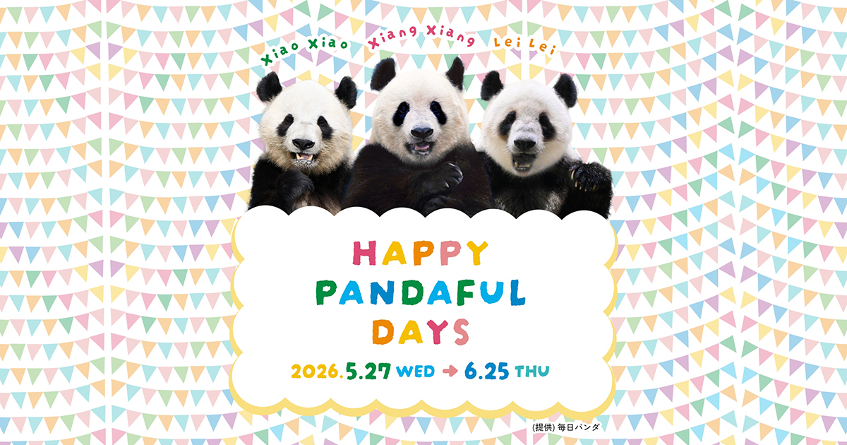HAPPY PANDAFUL DAYS