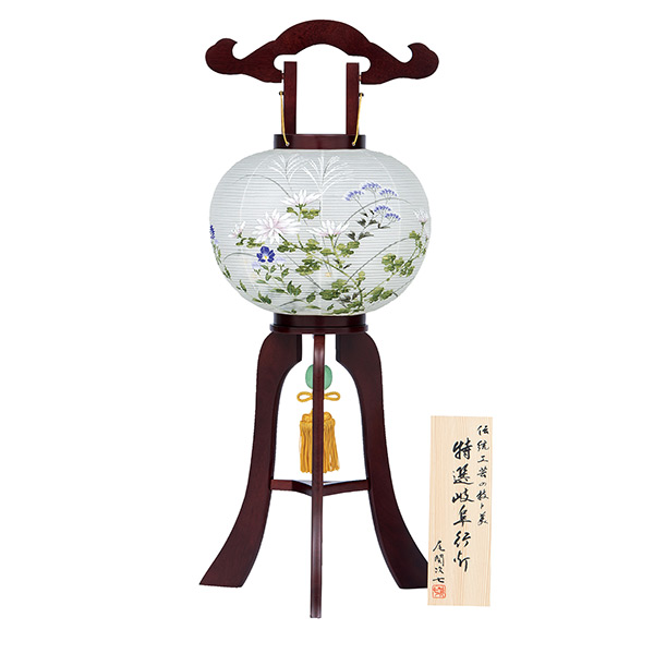 二重柏栗特九［大輪菊］