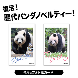 シャンシャン、シャオシャオ・レイレイ クリアファイル(全2種)」を