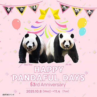 シャンシャン、シャオシャオ・レイレイ クリアファイル(全2種