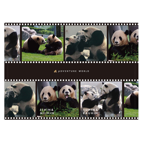 非売品　新発売　アドベンチャーワールド　パンダ　マドラー アドベンチャーワールド 彩浜マドラー - メルカリ