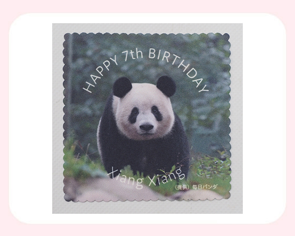 みんと  2017年パンダ 3枚 みんと 2017年パンダ 3枚 みんと 2017年パンダ 3枚 みんと 2017年