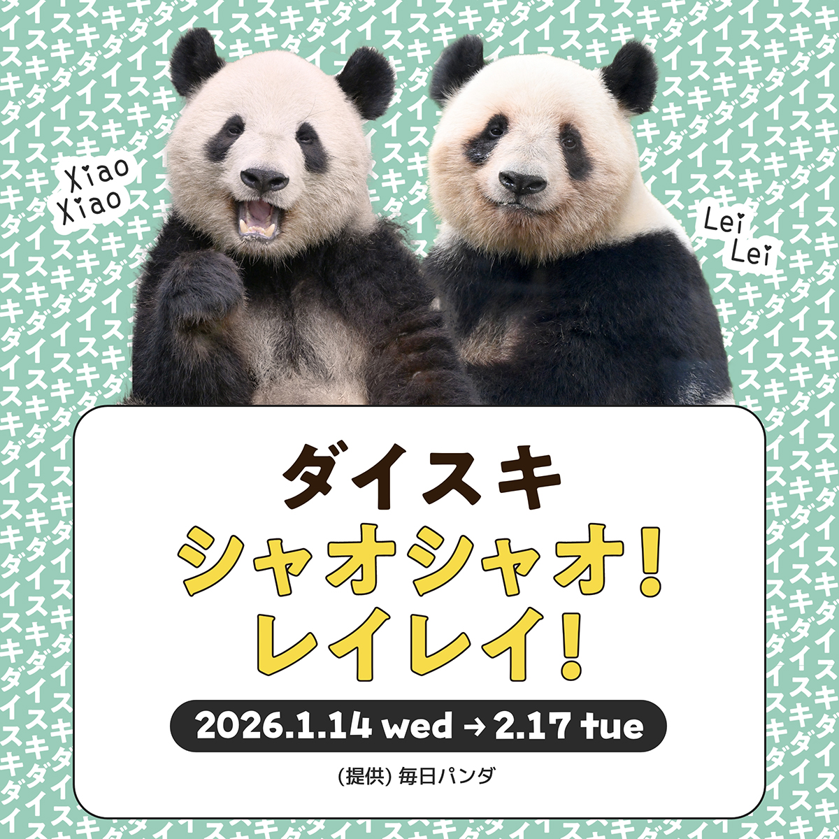 歴代のパンダノベルティーがオンライン対象商品をご購入でもらえる
