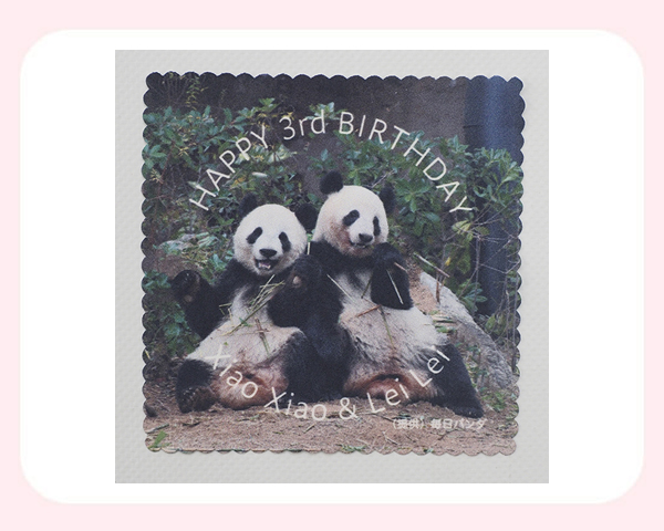 歴代のパンダノベルティーがオンライン対象商品をご購入でもらえる