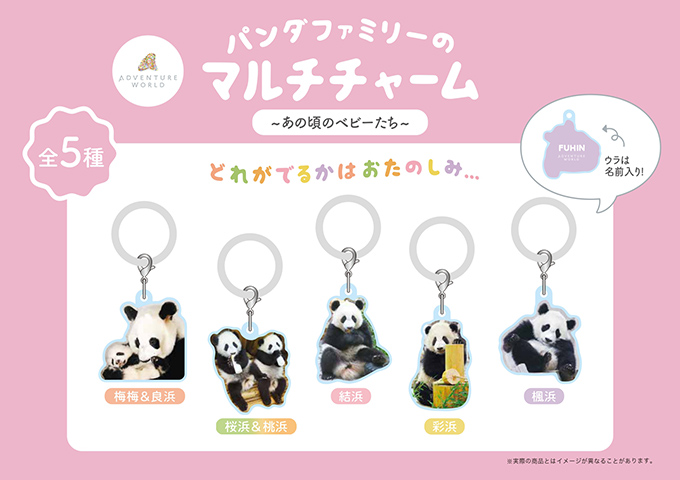 アドベンチャーワールド〉POP-UP STORE 【松坂屋上野店】