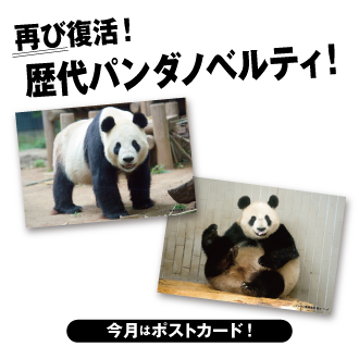 歴代のパンダノベルティがオンライン対象商品をご購入でもらえる