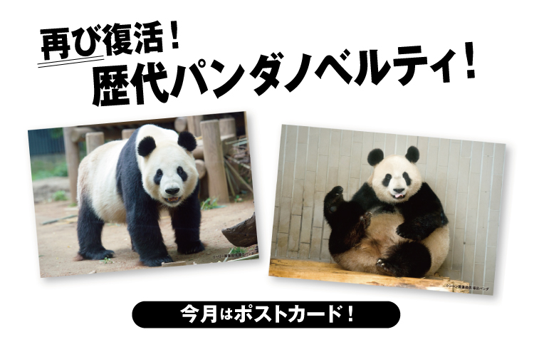 ★上野松坂屋　パンダ　来日52周年記念　フォト風カード　10種類　コンプリート ☆上野松坂屋 パンダ 来日52周年記念 フォト風カード 10種類