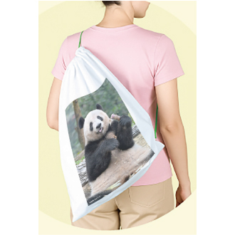 シャンシャン「シタマチ.こどもパーク クリアファイル」松坂屋上野店【未開封新品】 シャンシャン「シタマチ.こどもパーク クリアファイル」松坂屋