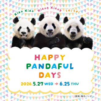 HAPPY PANDAFUL DAYS