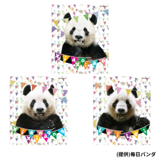 大丸・松坂屋アプリ本登録会員様限定 HAPPY PANDAFUL クイズラリー