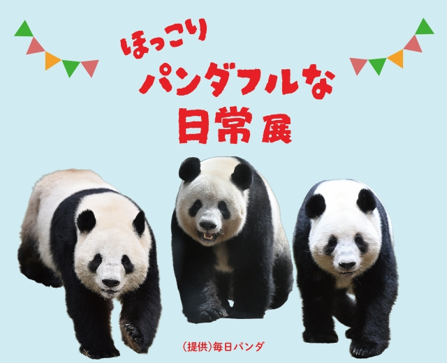 ほっこりパンダフルな日常 展
