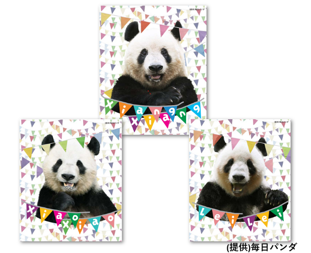 大丸・松坂屋アプリ本登録会員様限定 HAPPY PANDAFUL クイズラリー！