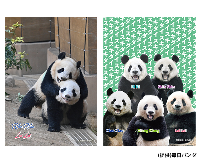 HAPPY PANDAFUL DAYS
