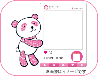 さくらパンダフォトスポット登場