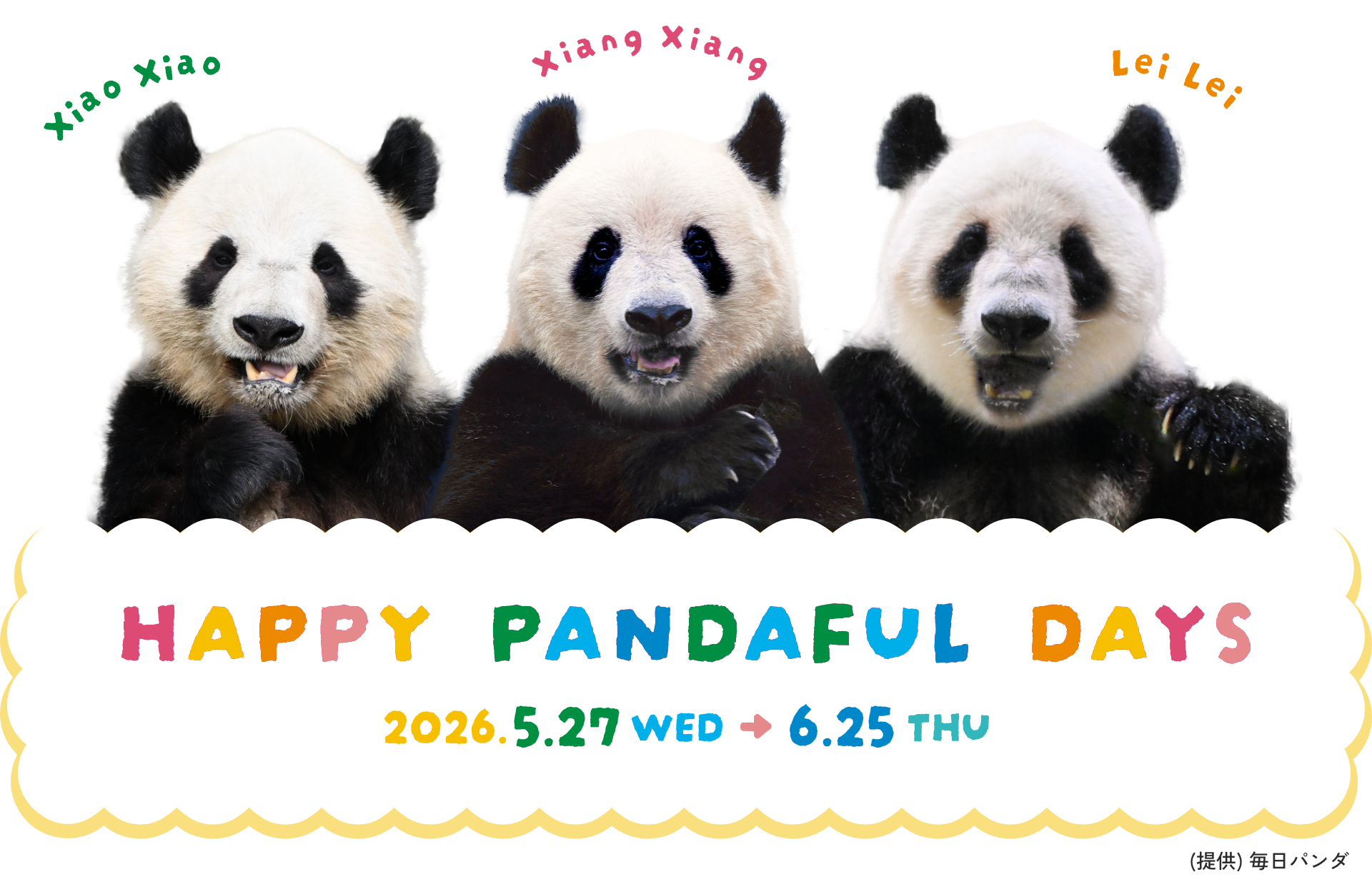 HAPPY PANDAFUL DAYS 2026.5.27wed&rarr;6.25thu