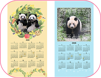 UENO Panda Family 2026年 カレンダーハンカチ2枚セット