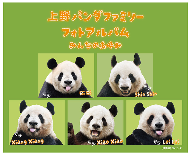 HAPPY PANDAFUL DAYS