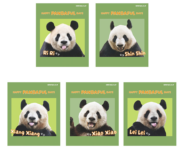 HAPPY PANDAFUL DAYS