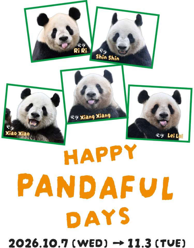 HAPPY PANDAFUL DAYS