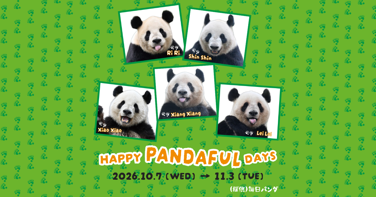 HAPPY PANDAFUL DAYS HAPPY PANDAFUL DAYS