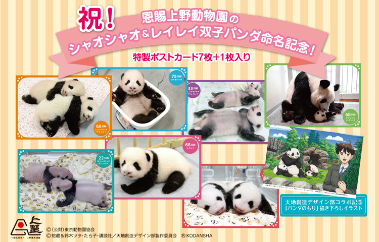 211013_pandacard_01.jpg
