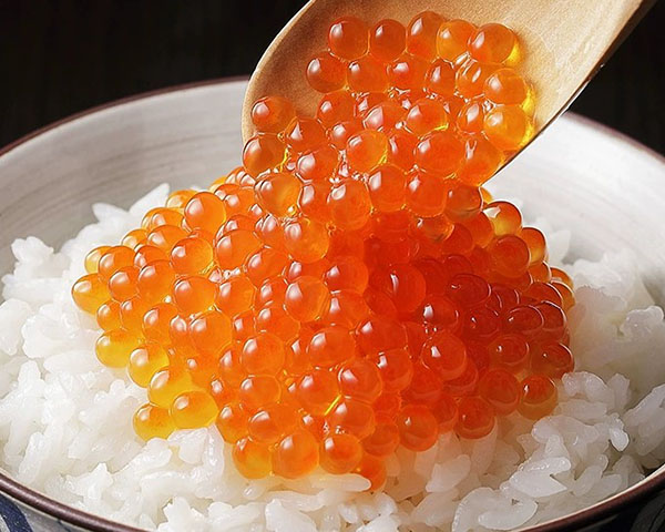手造りいか塩辛